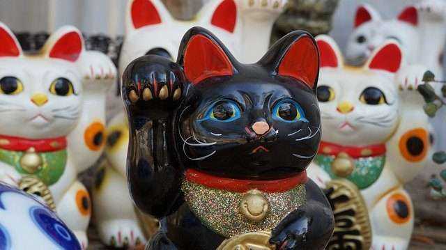 maneki neko