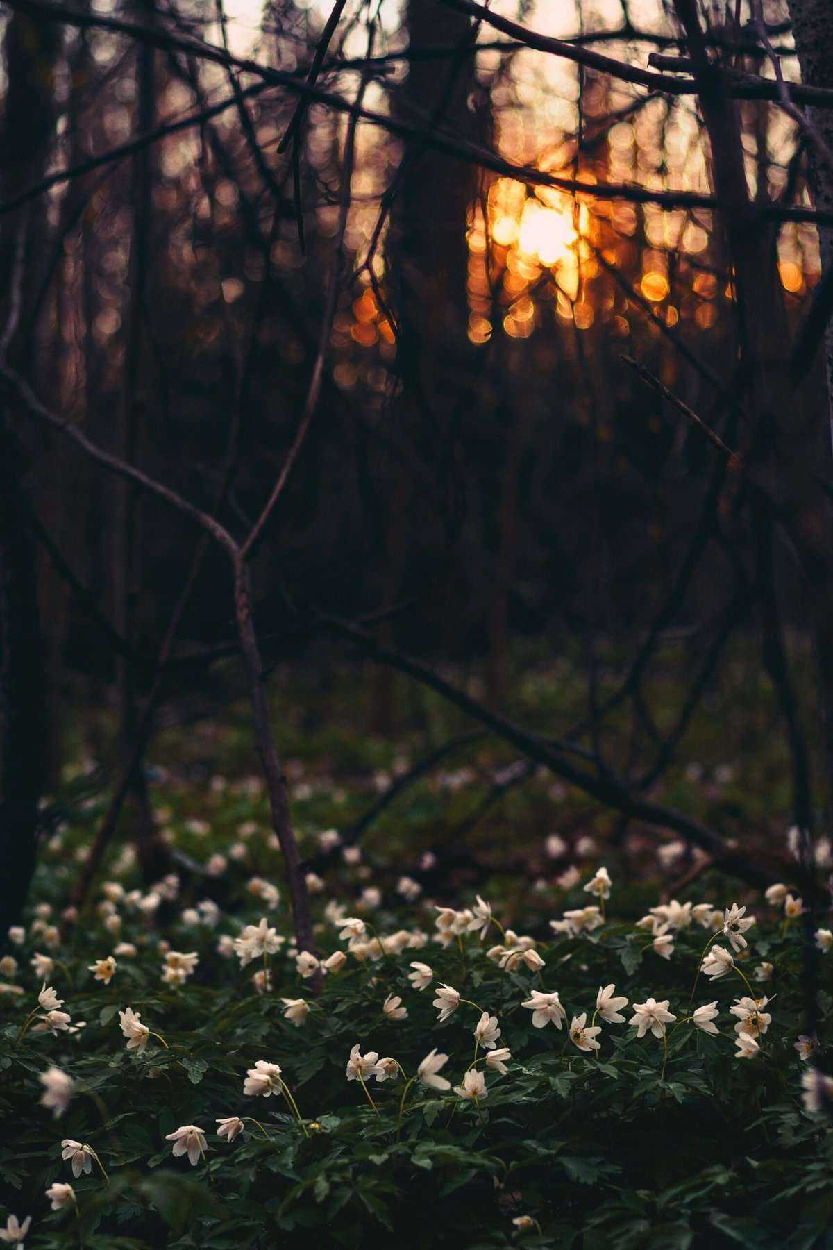 Dark without sun