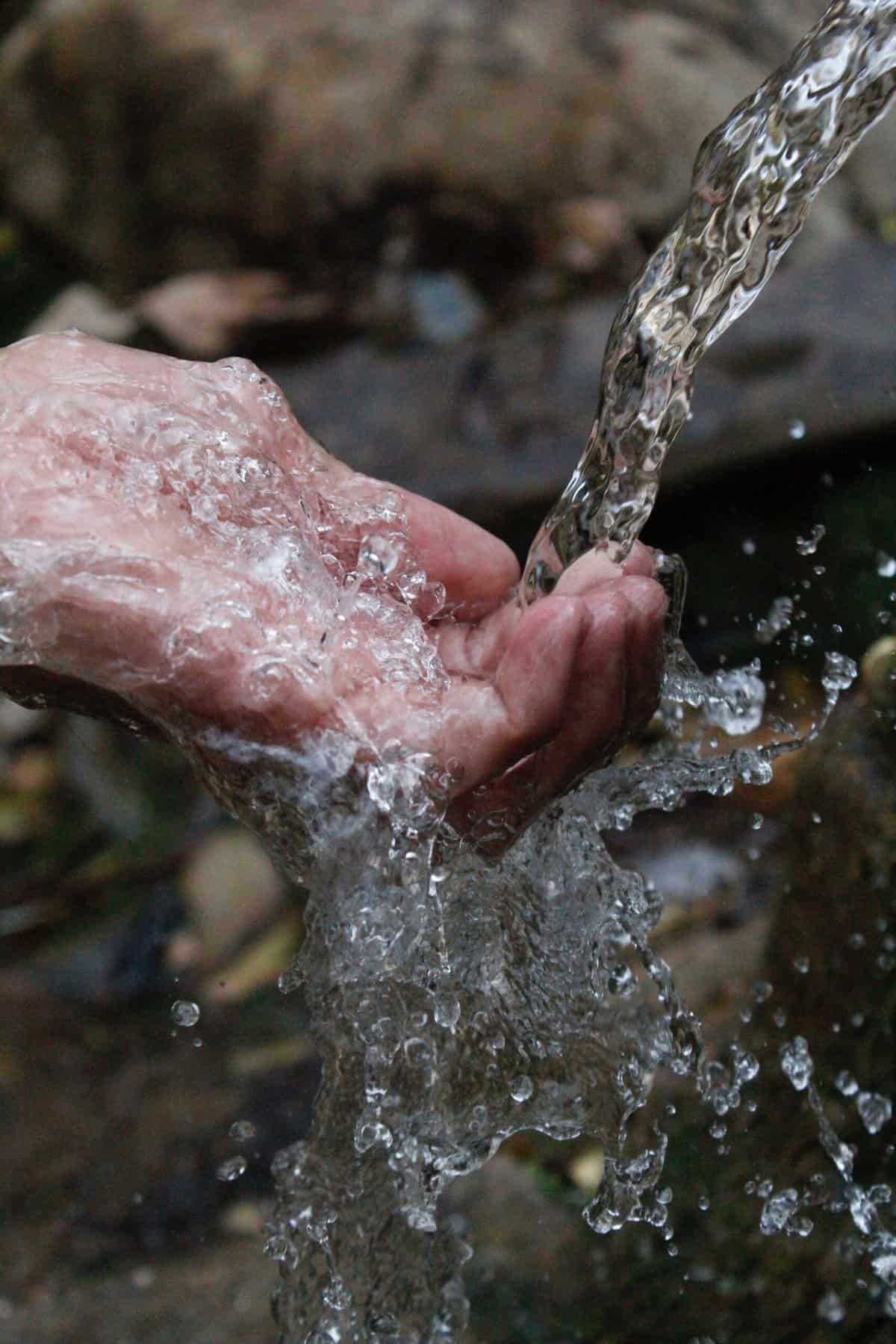What if people stopped drinking water?