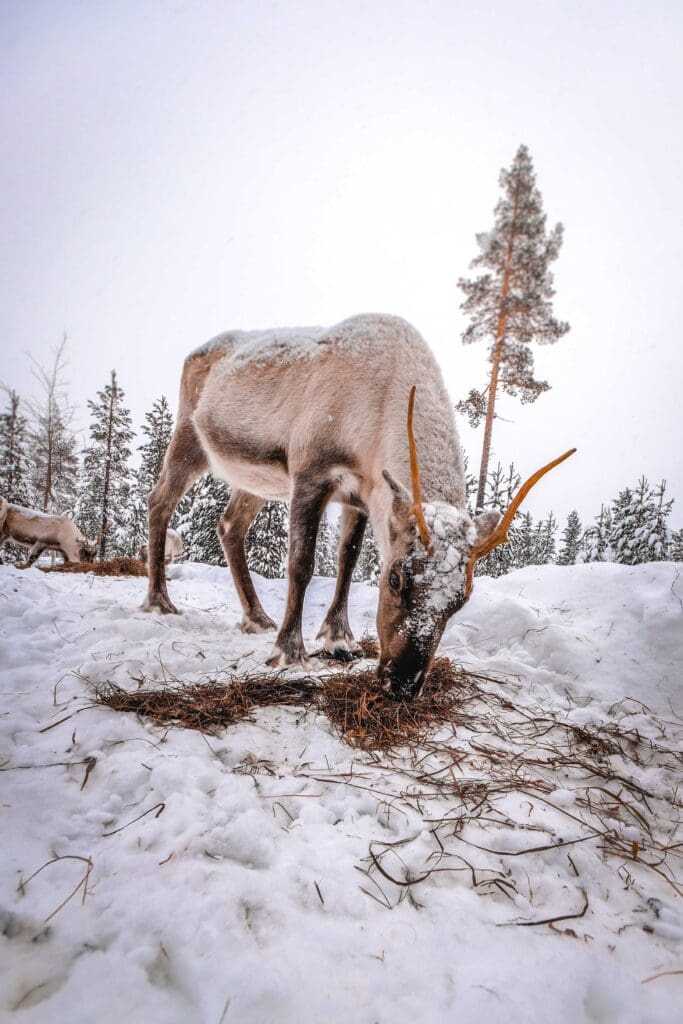 Cold