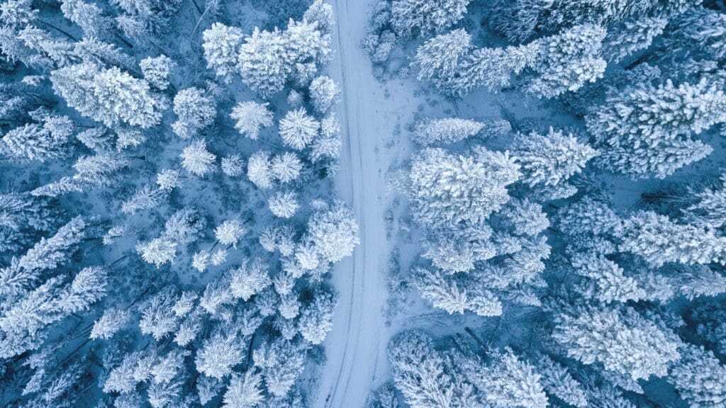 Ice Age Icy region