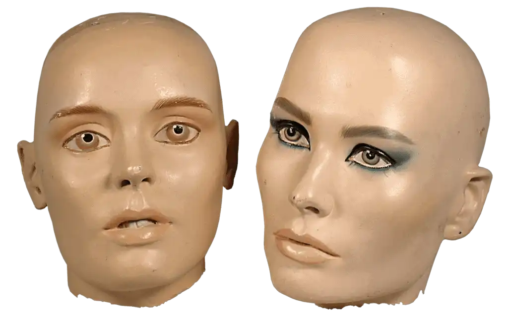 Plastic faces are the new beauty standard
