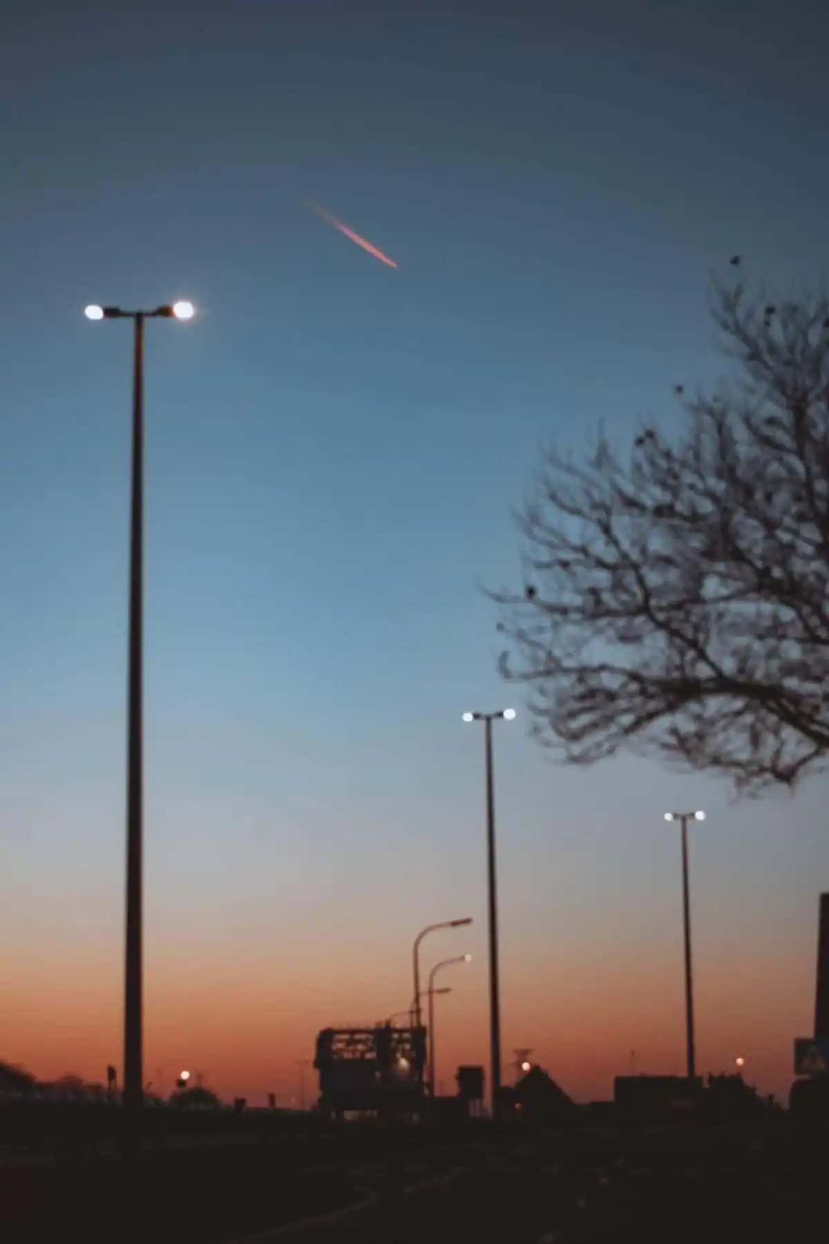 Deadly Virus Outbreak Caused By A Meteor: What Would Happen To The World?